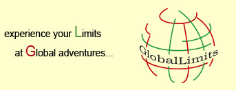 Global Limits